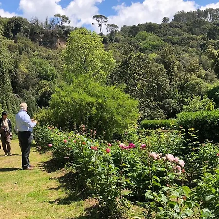Oasi Francescana Sant'ignazio Da Làconi