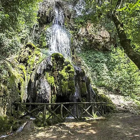 بيت شباب Oasi Francescana Sant'ignazio Da